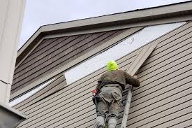 Best Siding Painting and Refinishing  in Ligh, NE